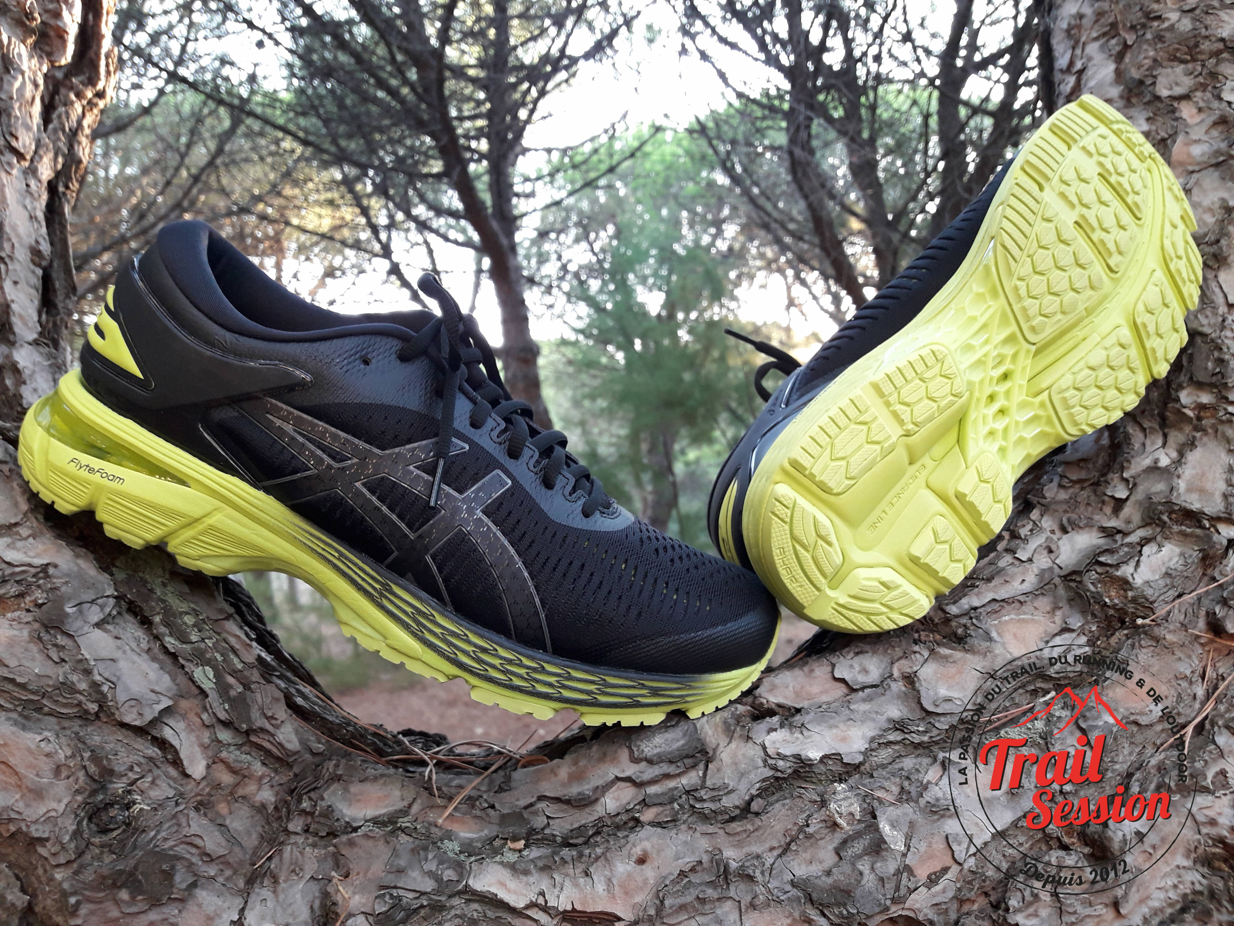 Asics Gel Kayano 25 : Une chaussure 