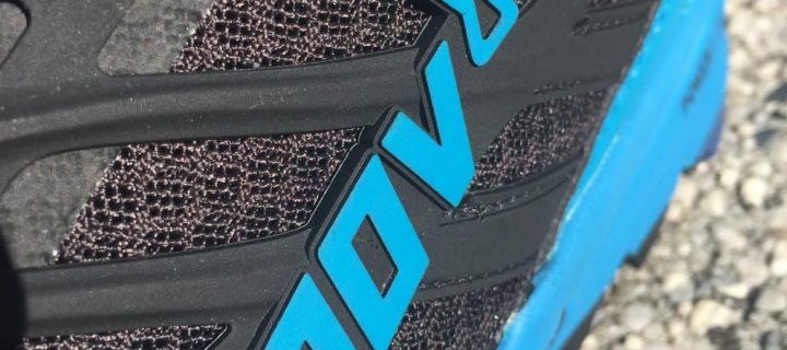 Inov-8 TRAILTALON 290 : conçues pour le long, voire le trèèèèès loooonnnng…