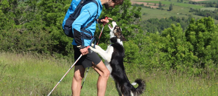 Chaussures Hike Up et Yari 30L : la montagne en confort !