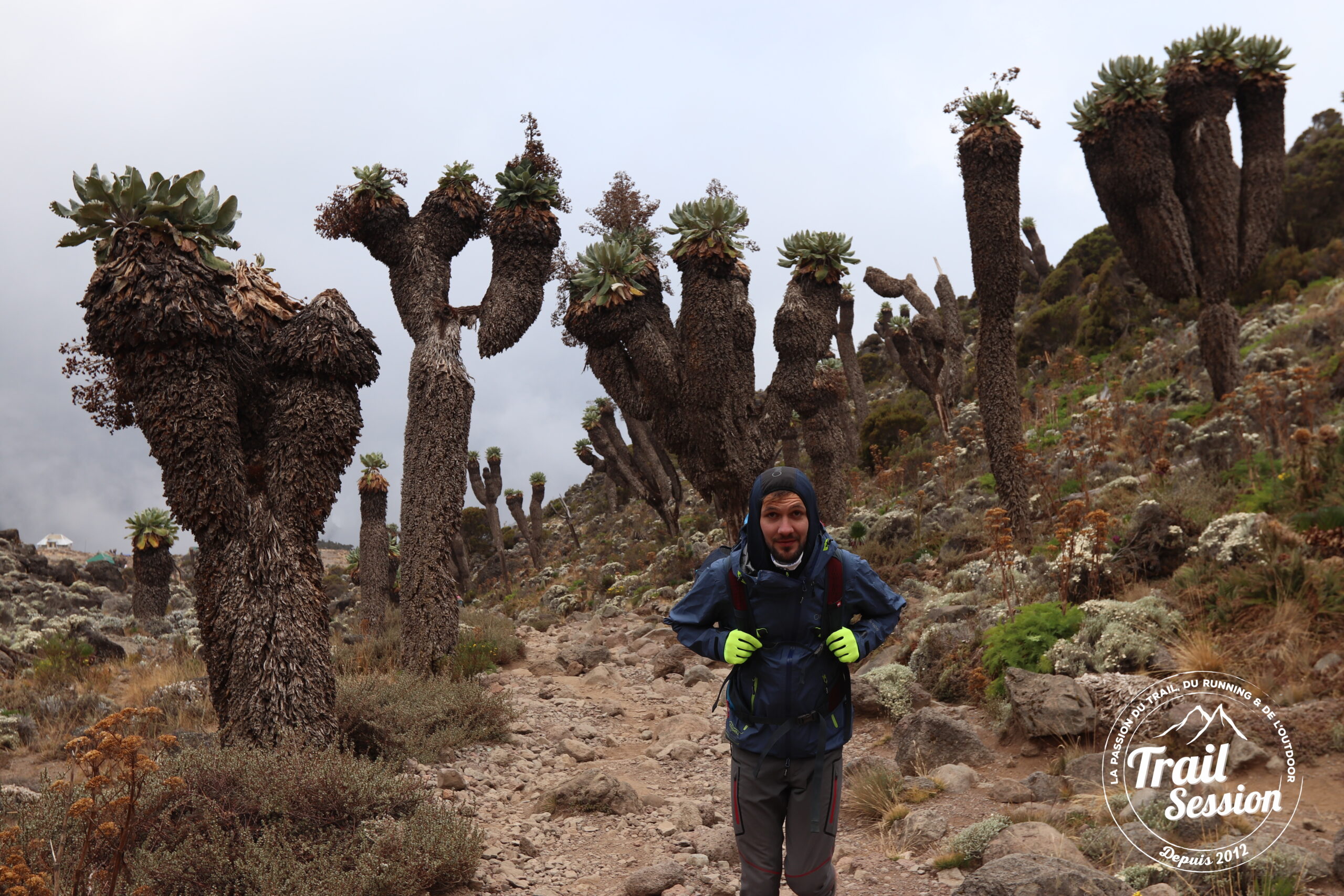 au Kilimanjaro avec la veste advanced 3H