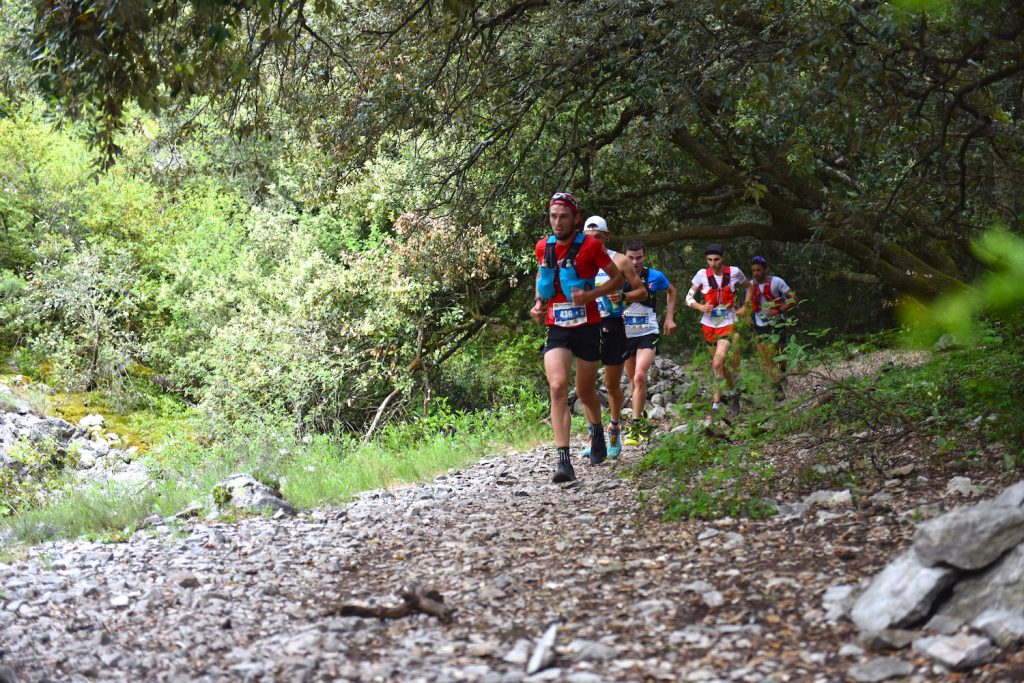 Ergysport Trail du Ventoux 2021