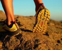 Brooks Cascadia 16 : explore tous les terrains de jeu de Trail Running