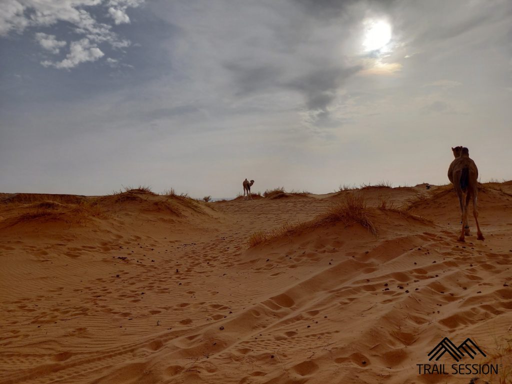 Marathon des Sables