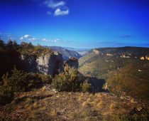 Festival des Templiers 2021 : un come-back réussi