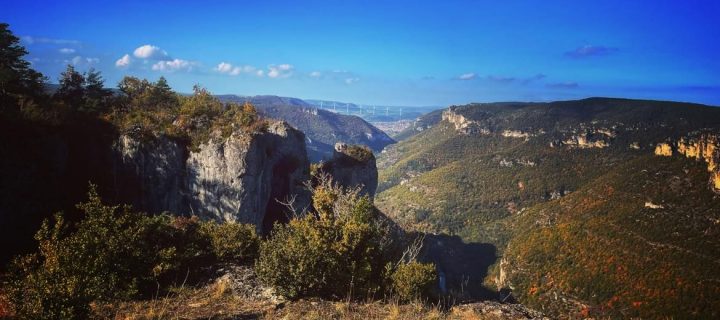 Festival des Templiers 2021 : un come-back réussi