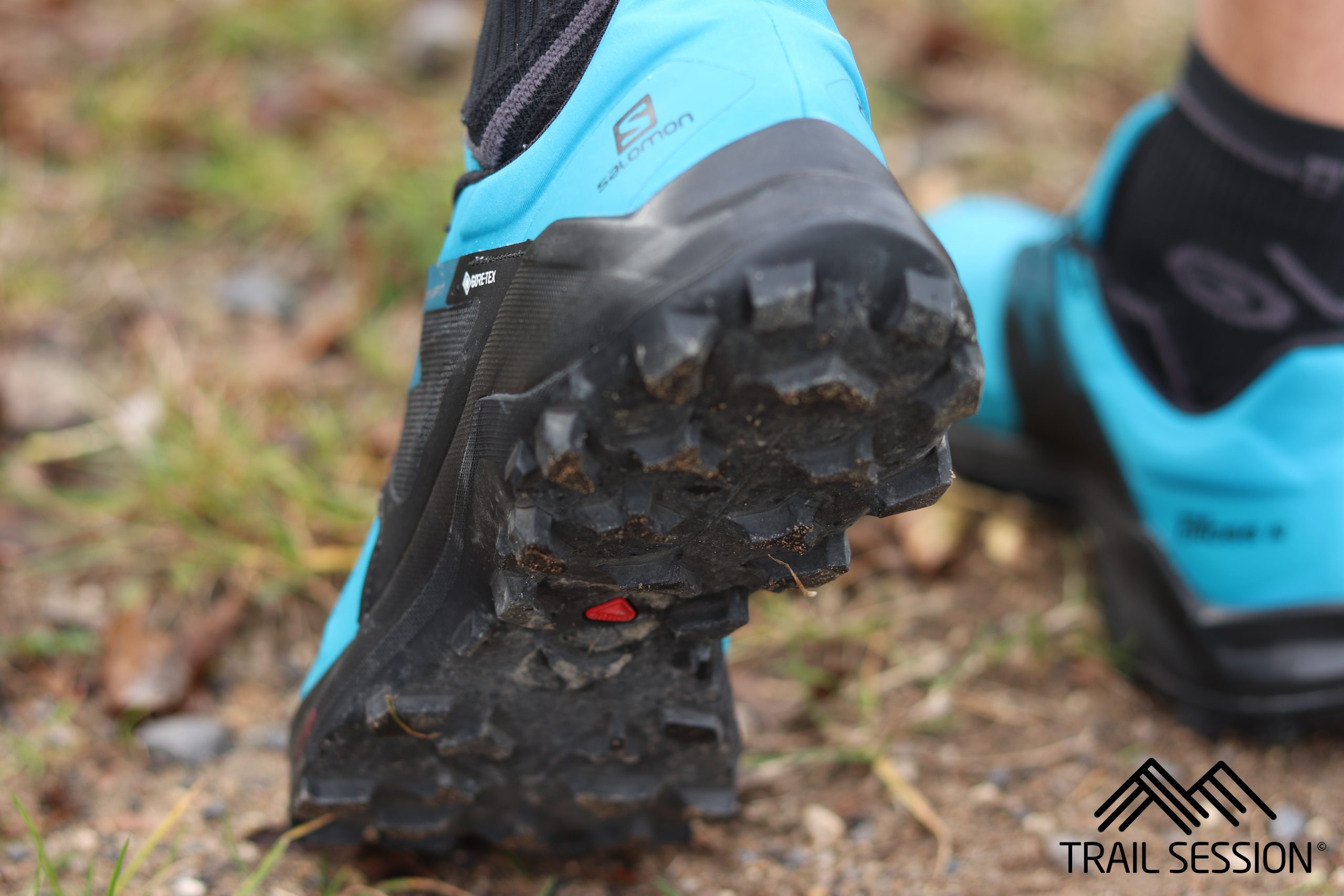 Salomon Wildcross 2 GTX