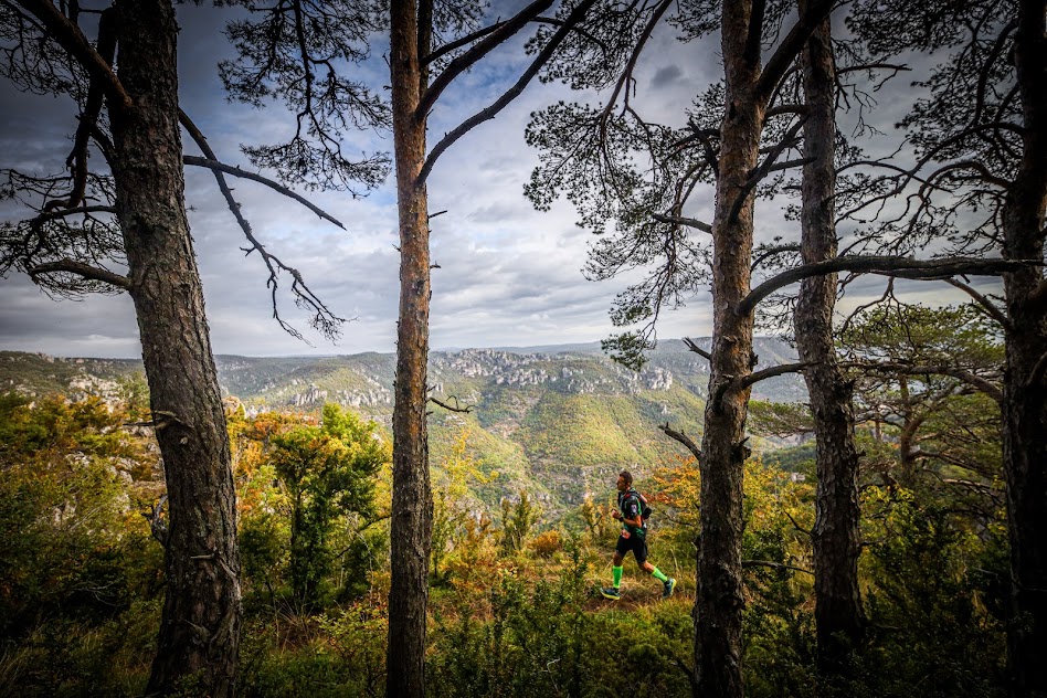 Festival des Templiers