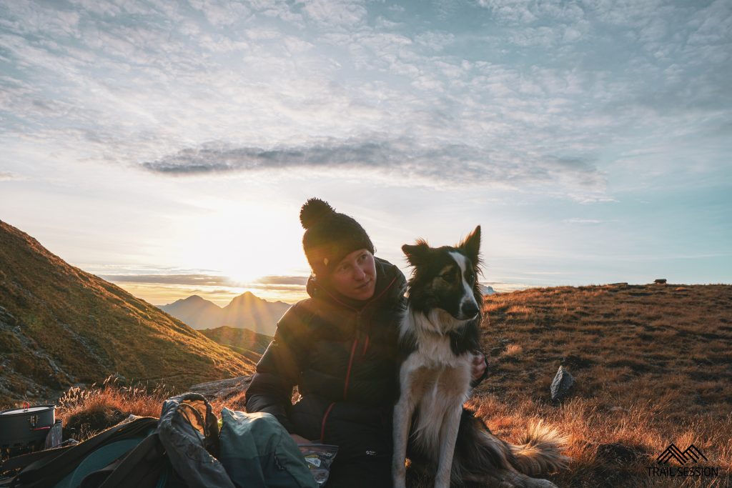 Voyager avec son chien