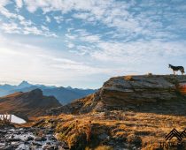 Tour du Queyras GR58 : aux couleurs de l’automne