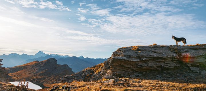 Tour du Queyras GR58 : aux couleurs de l’automne