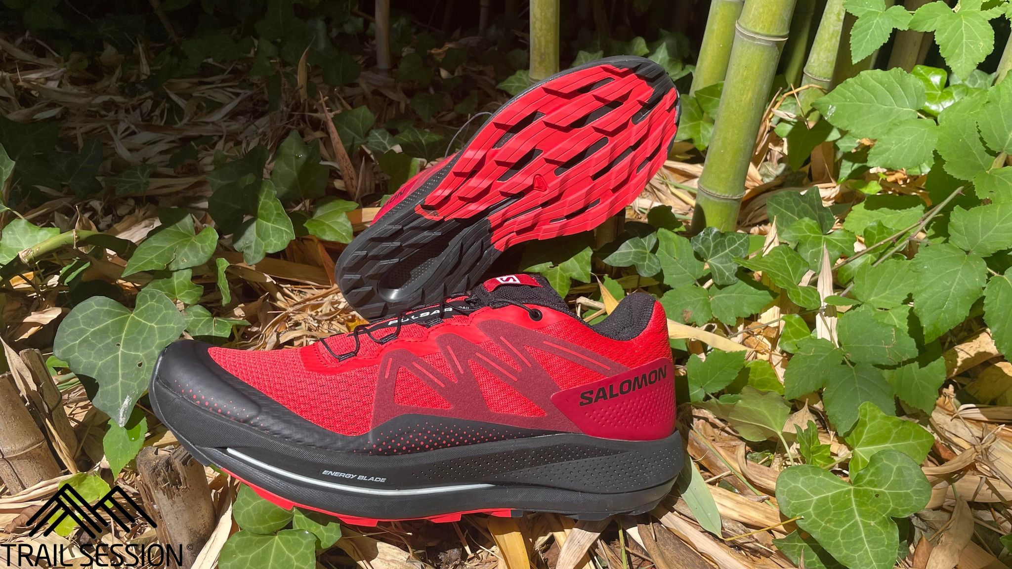 Salomon Pulsar Trail