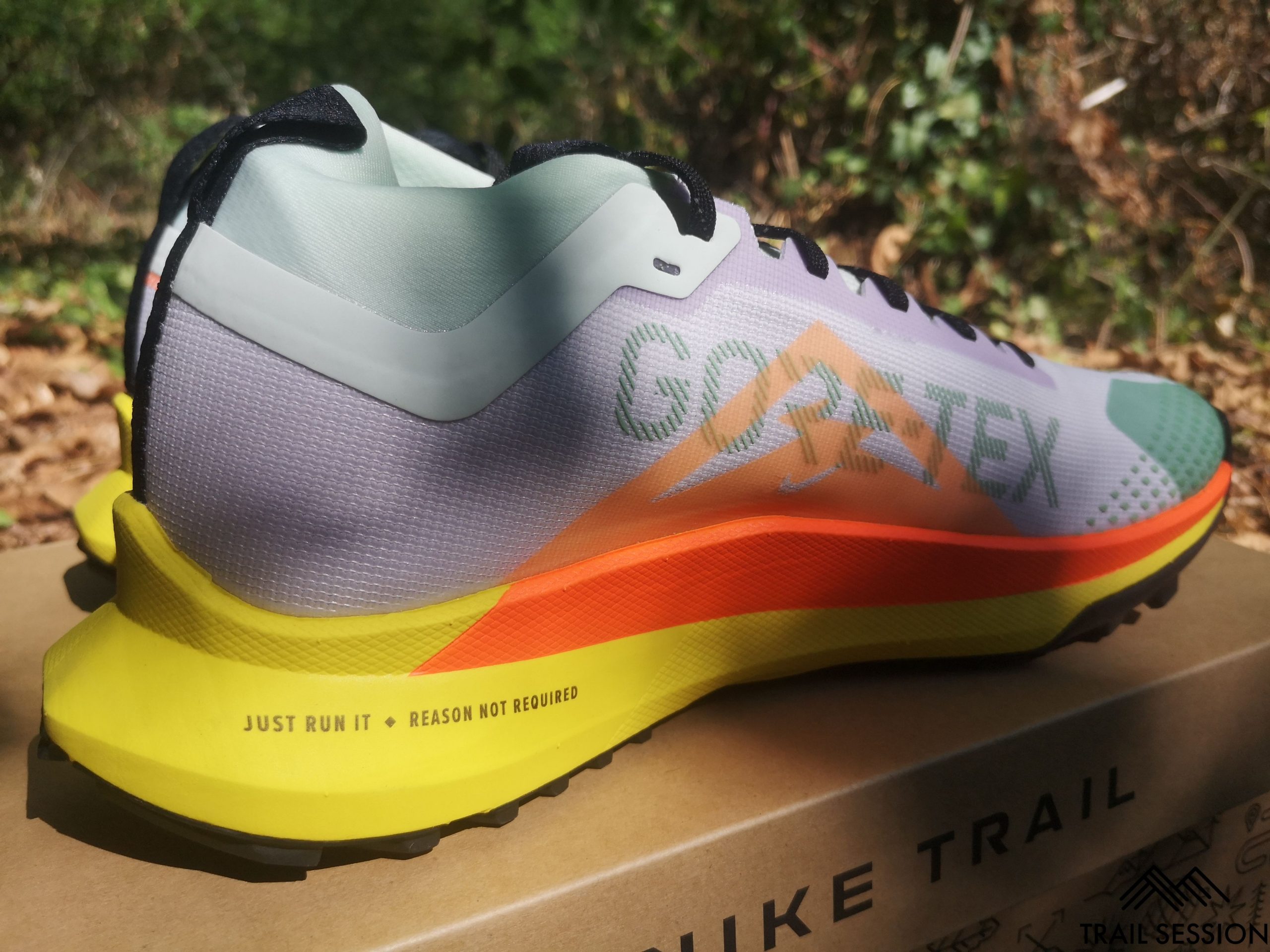 Nike Pegasus 4 GTX