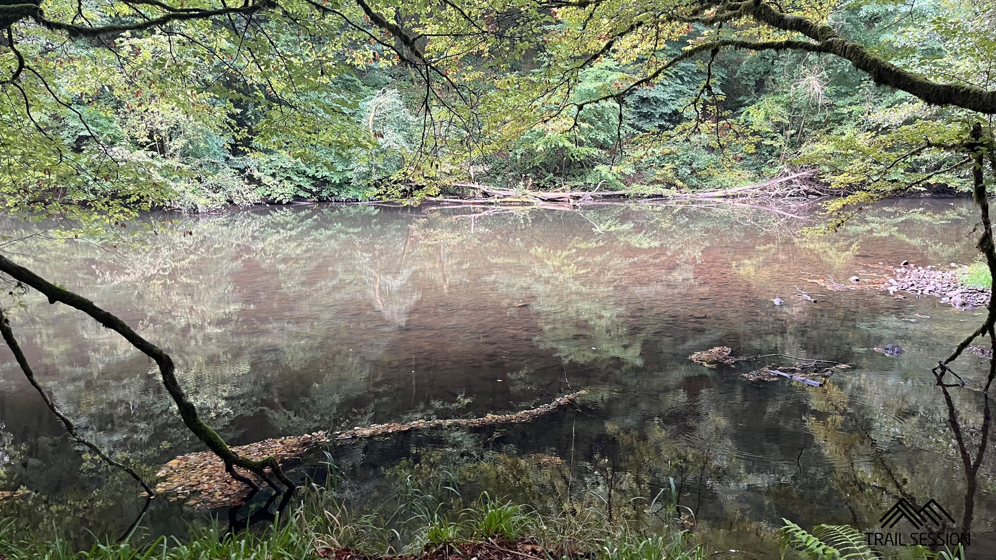 X Trail Corrèze