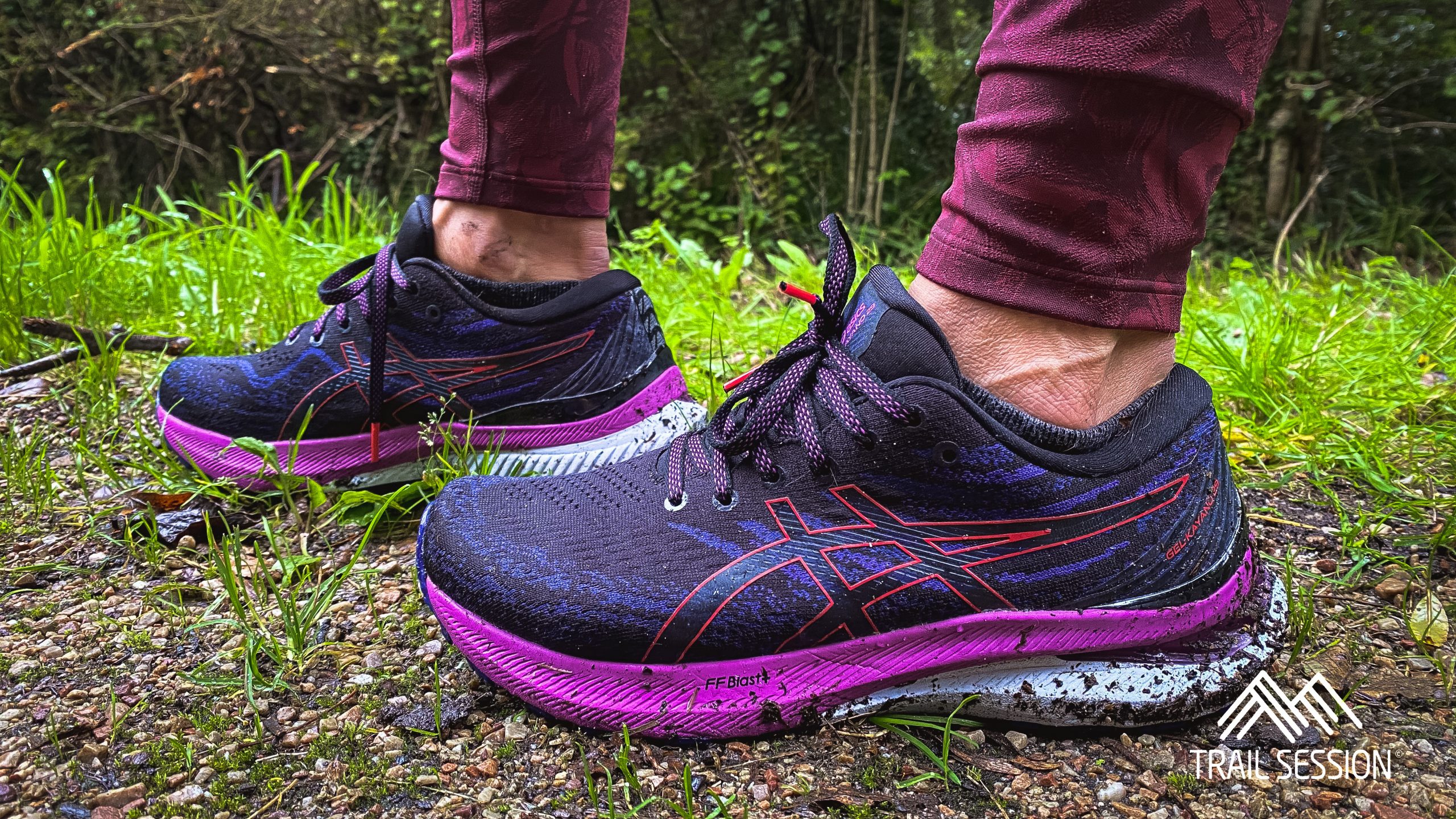 Asics Gel-Kayano 29