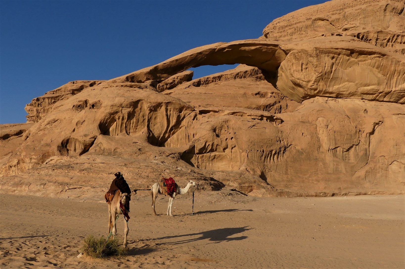 Raidlight Desert Trophy