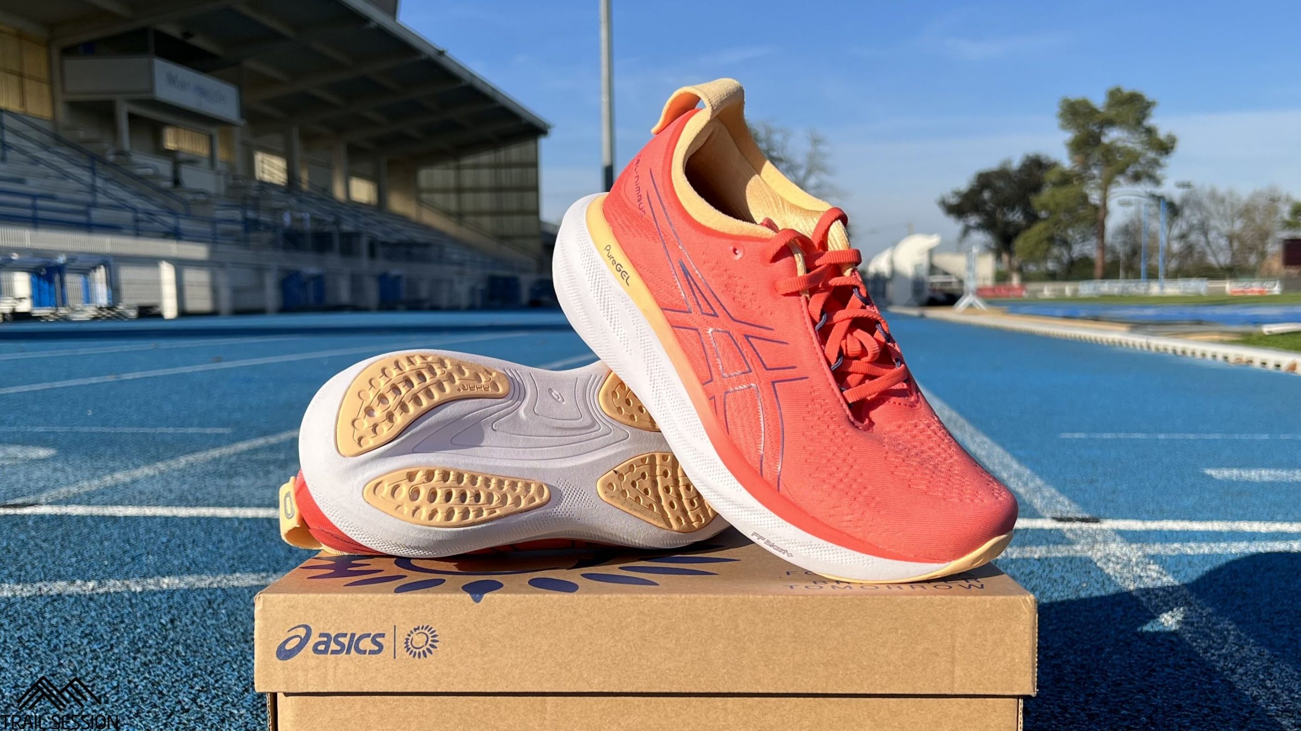 Asics Gel Nimbus 25