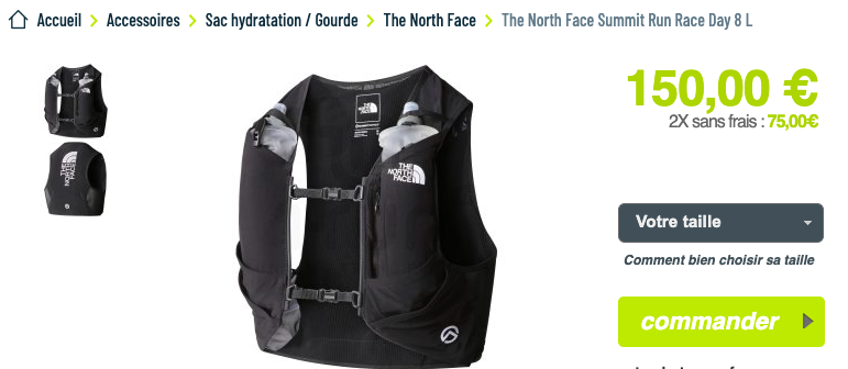 The North Face Flight