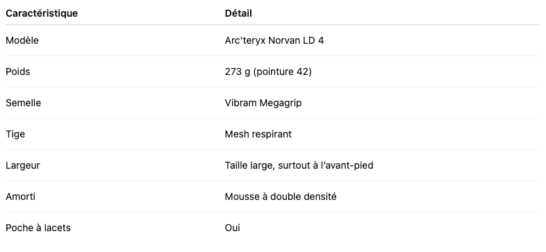 Arc'teryx Norvan LD 4