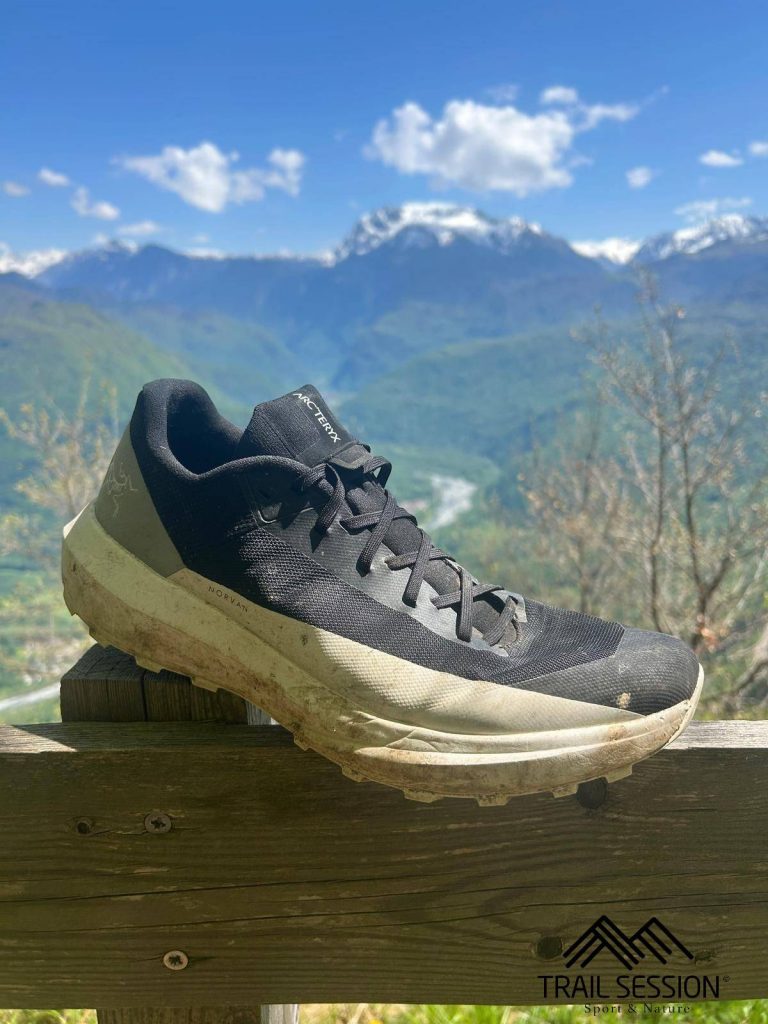 Arc'teryx Norvan LD 4